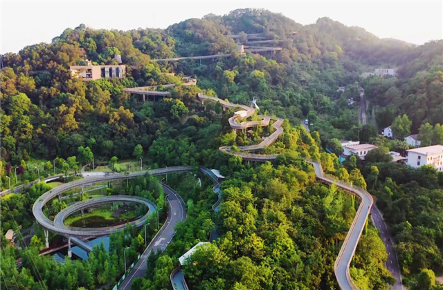 太阳集团tcy8722集团荣获两项国家级协会工程建设科学技术奖！